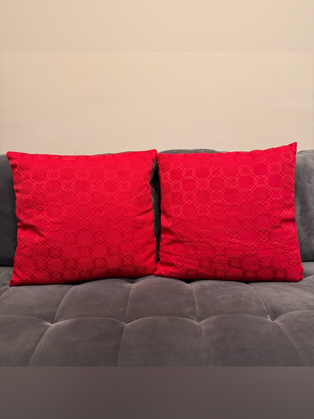 Set of 2 Square Embroidered Decorative Pillows